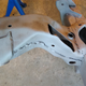 Illustration for article titled Got my subframe back from the sandblaster today